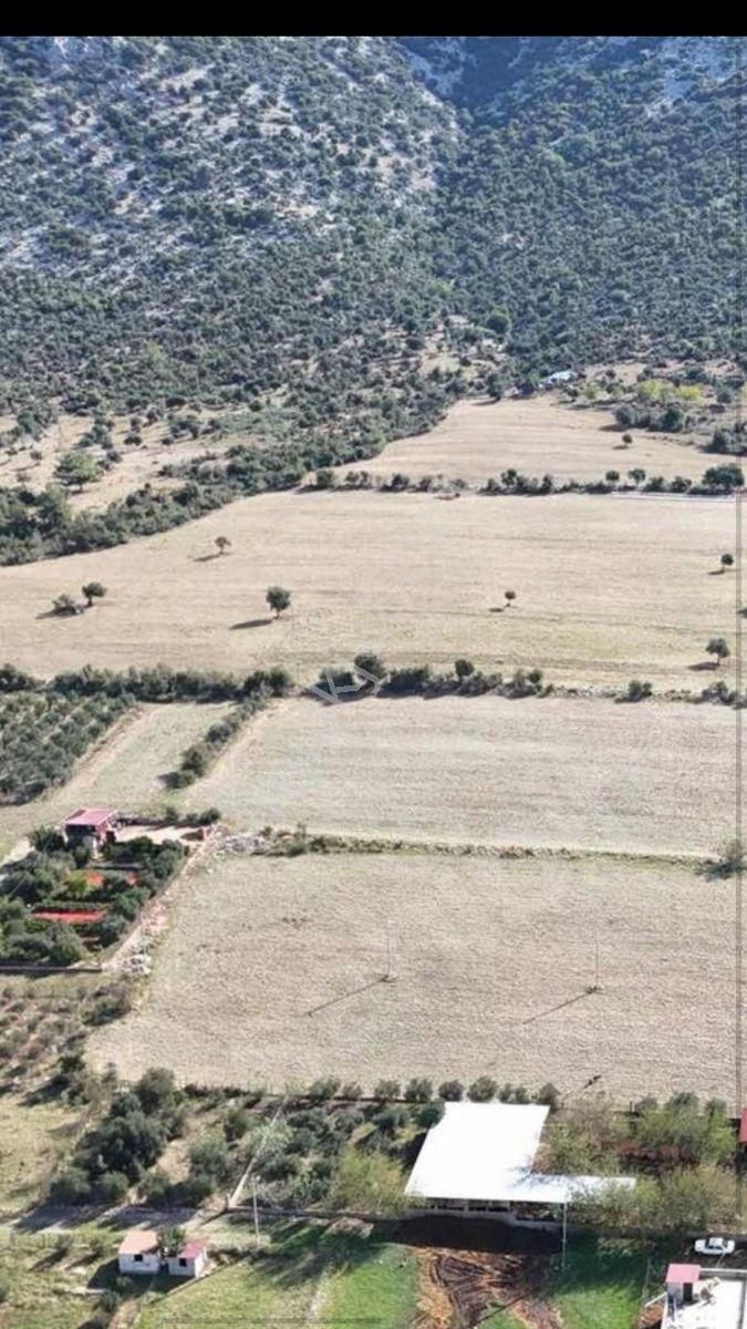 Anadolu Gayrimenkulden Ağlıboğazda Köşe Arsa Yatırımlık - Görsel 4