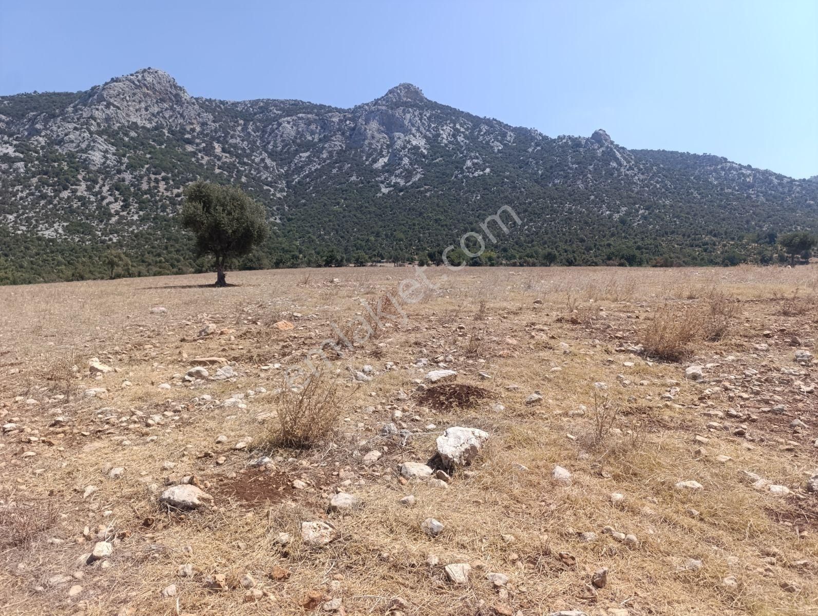 Anadolu Gayrimenkulden Ağlıboğazda Köşe Arsa Yatırımlık - Görsel 6