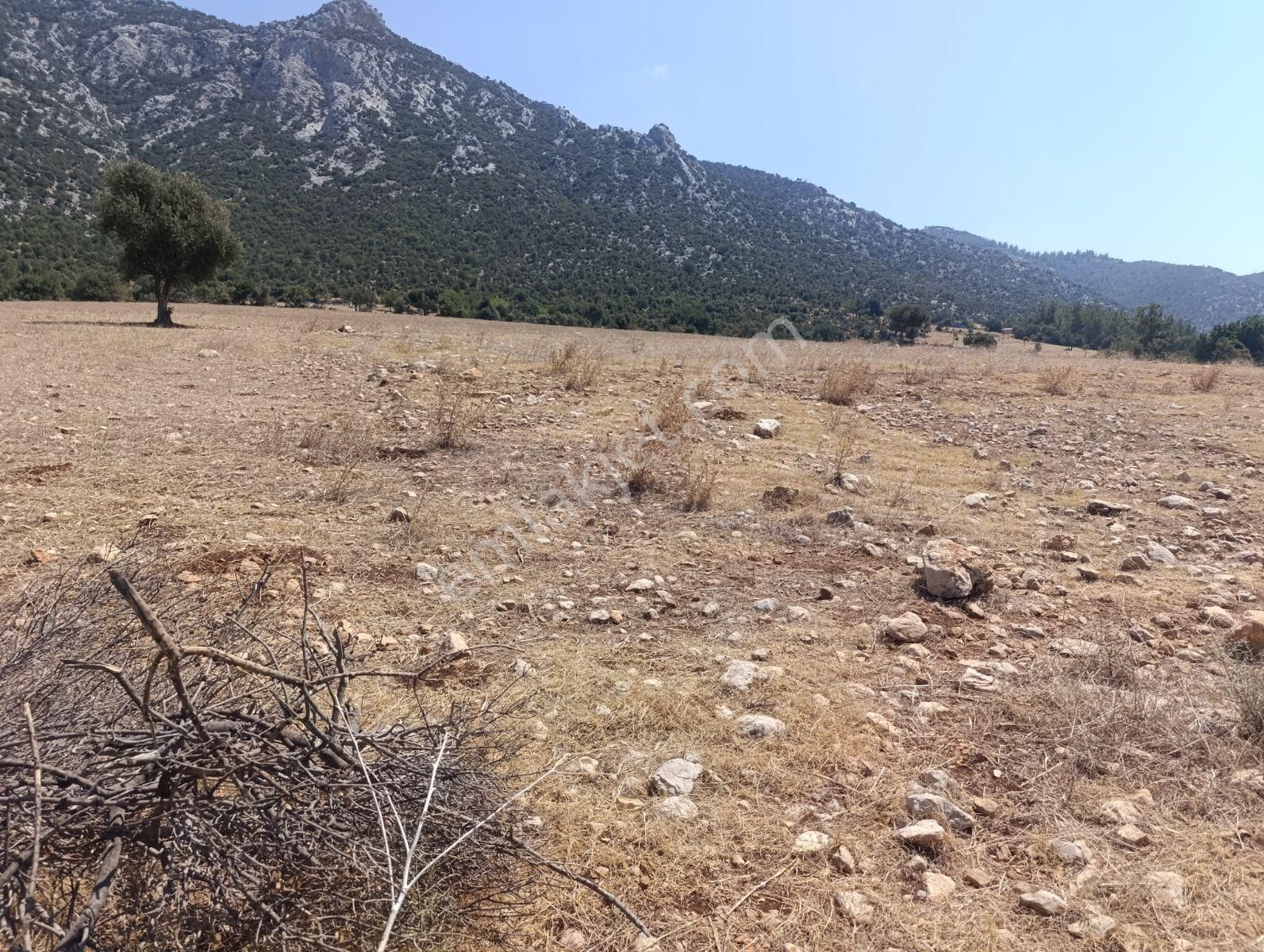 Anadolu Gayrimenkulden Ağlıboğazda Köşe Arsa Yatırımlık - Görsel 18