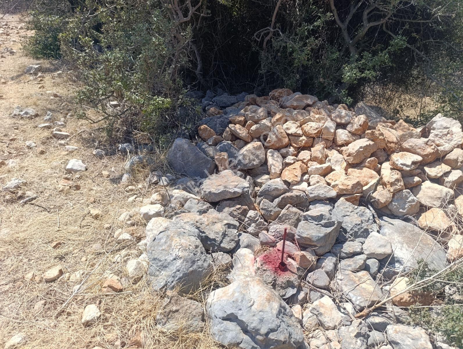 Anadolu Gayrimenkulden Ağlıboğazda Köşe Arsa Yatırımlık - Görsel 17