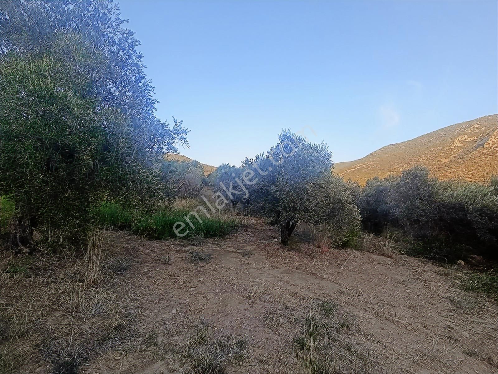 Anadolu Gayrimenkulden Ağlıboğazda Yatırımlık 400 M² - Görsel 7