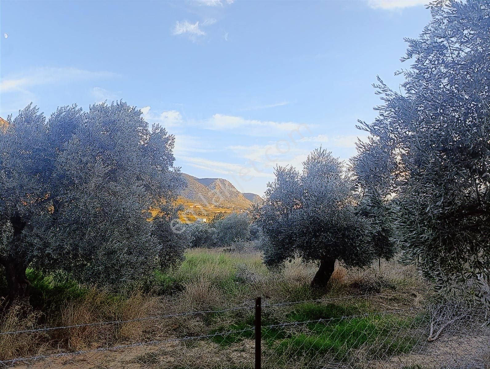 Anadolu Gayrimenkulden Ağlıboğazda Yatırımlık 400 M² - Görsel 3