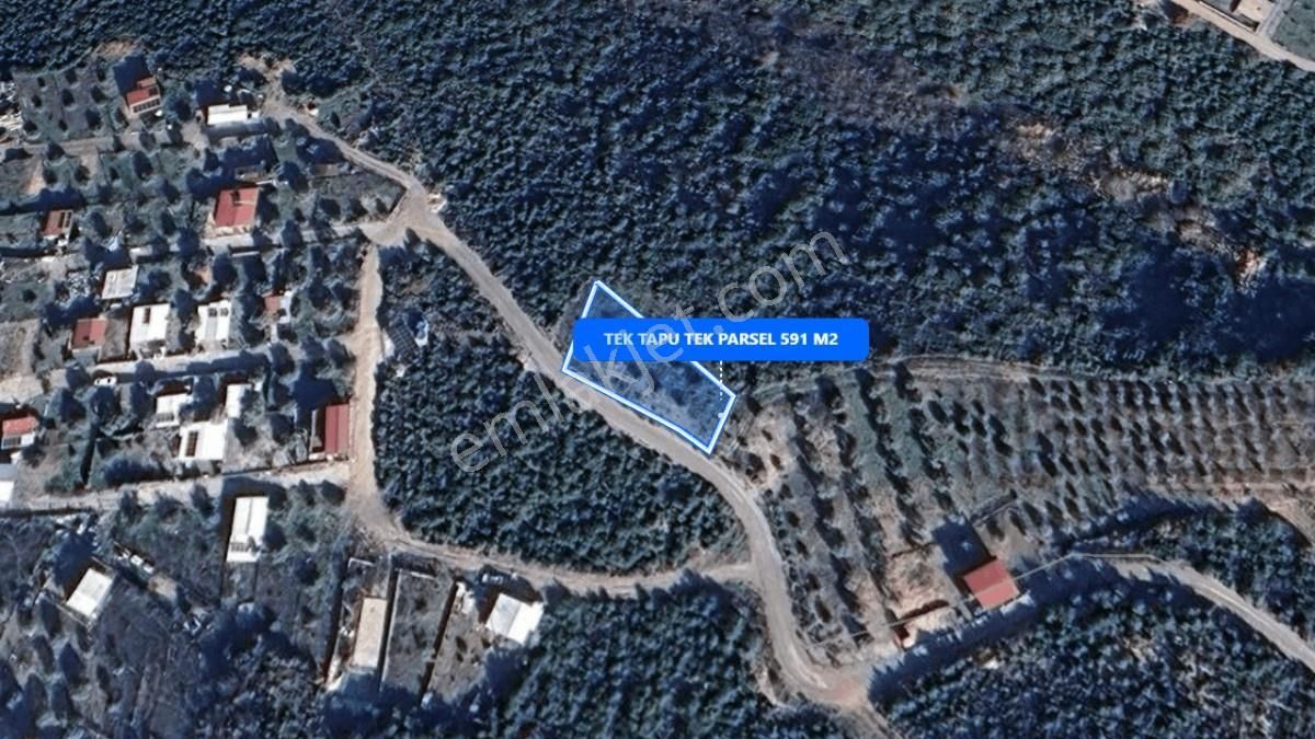 Turyaptan Buca Belenbaşı Tek Tapu Tek Parsel 591m2 Satılık - Görsel 4