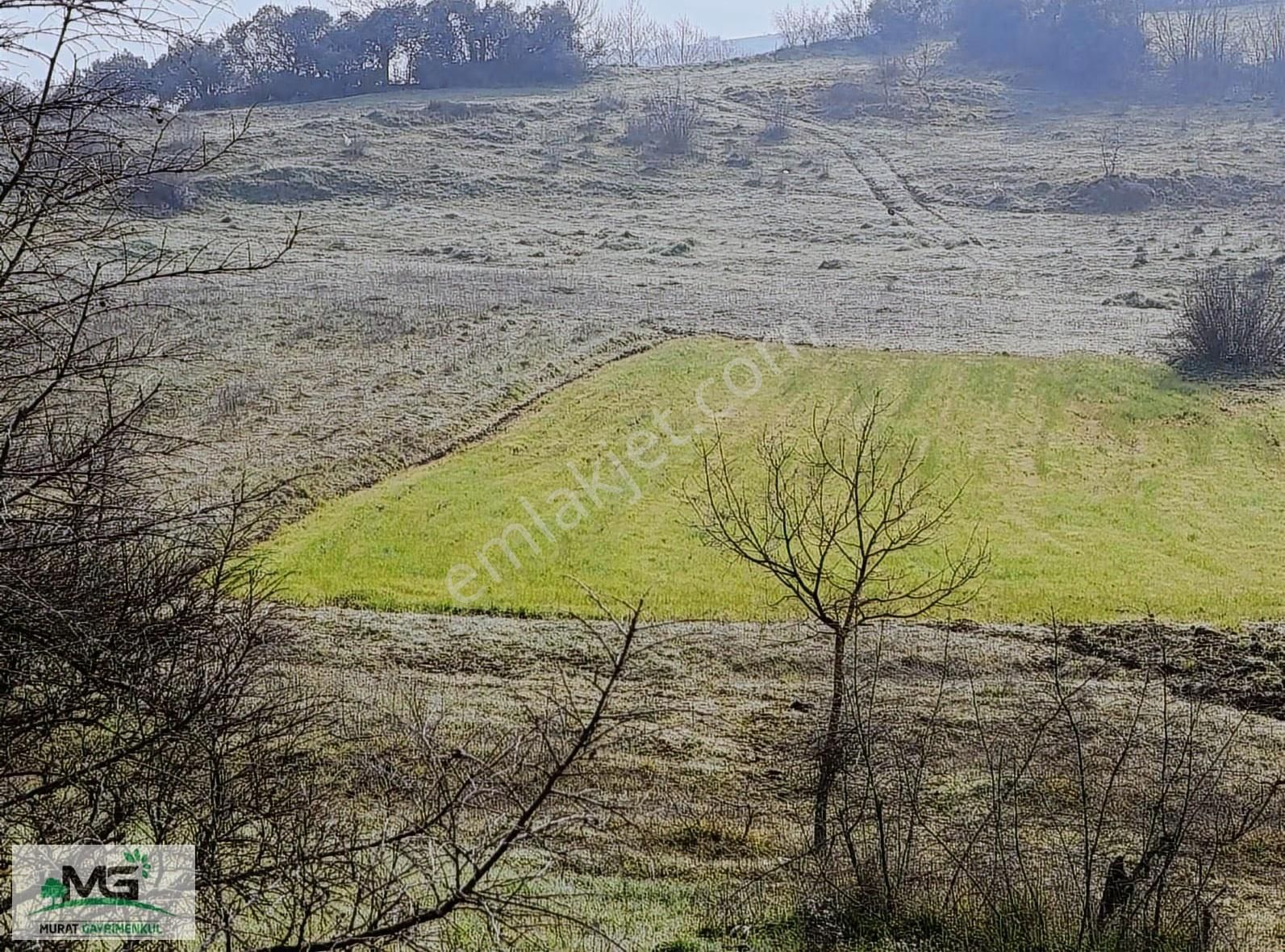 Kocaeli Kandıra Akdurak Fırsat Ürünü Kelepir Arsa - Görsel 9