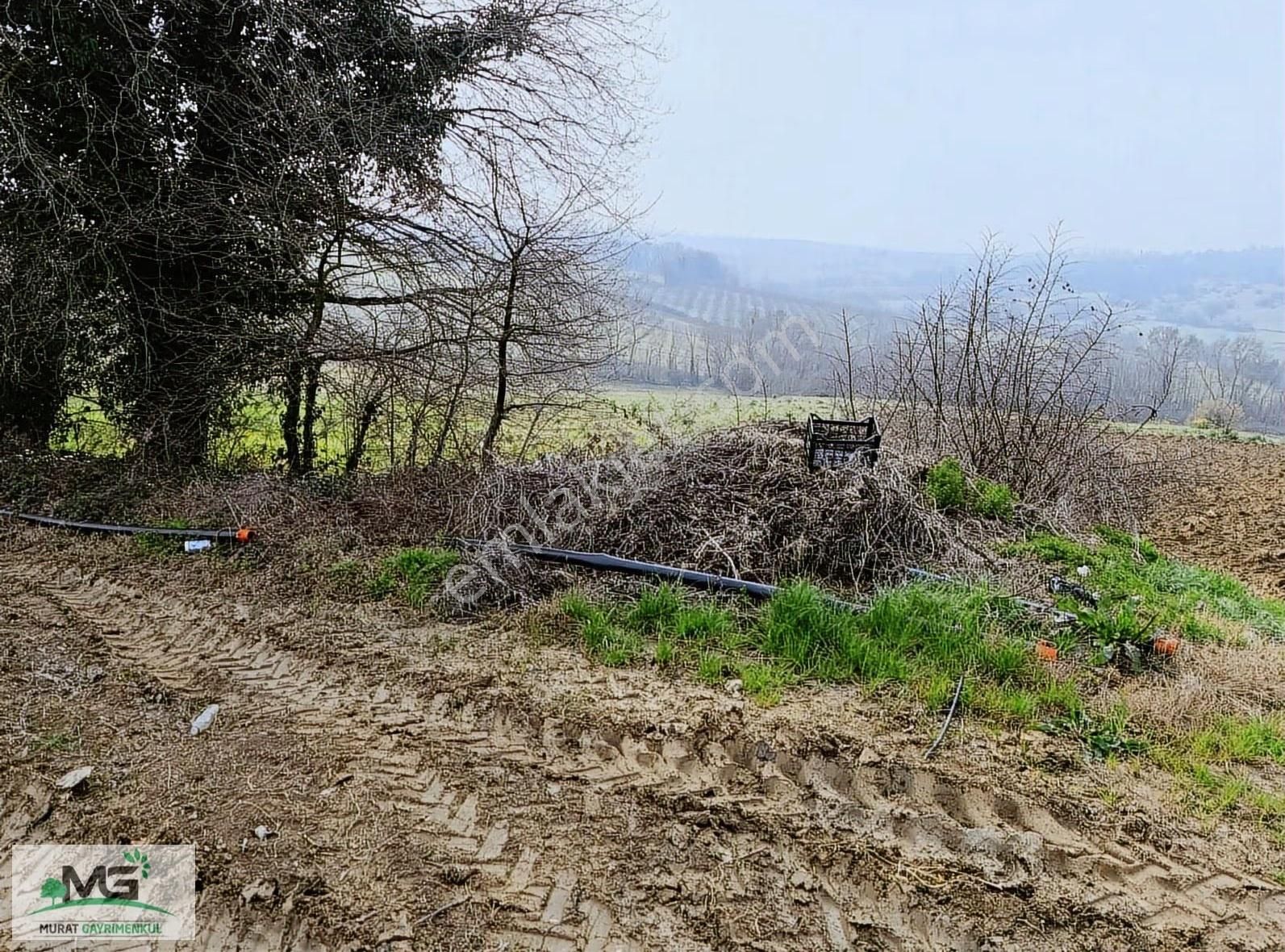 Kocaeli Kandıra Alaybey Fırsat Ürünü Tarla Arsa - Görsel 10