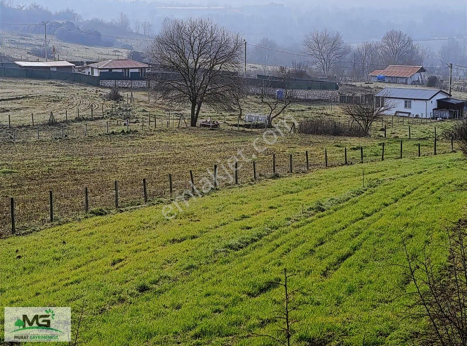 Kocaeli Kandıra Alaybey Fırsat Ürünü Tarla Arsa - Görsel 7