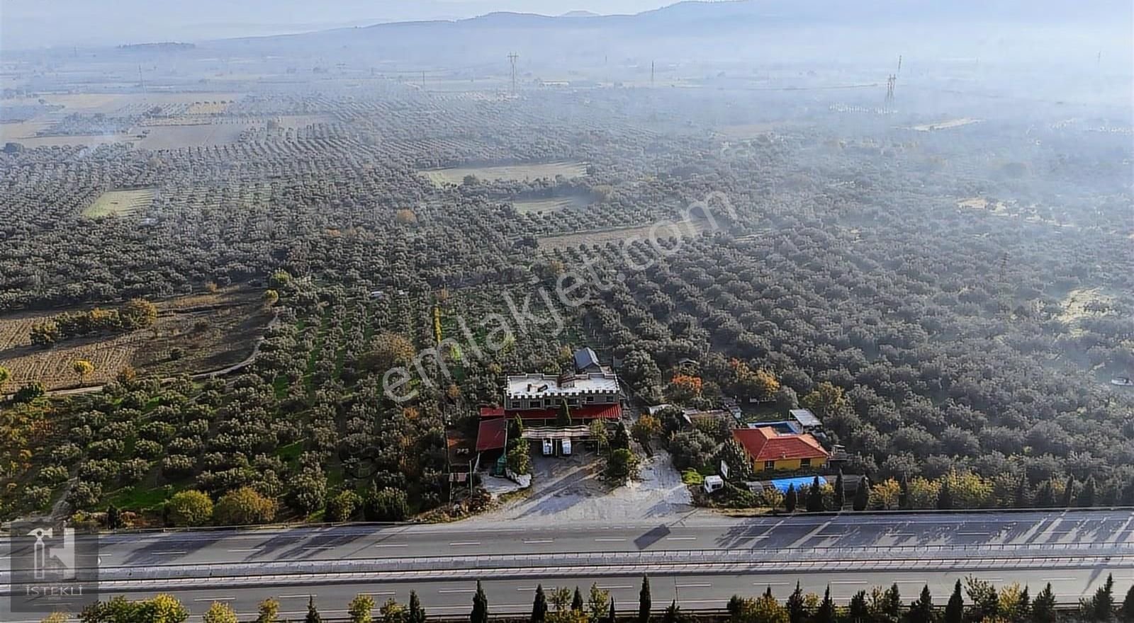 İstekli Emlak'tan Bakır Mah Ana Yola Cephe Zeytinlik - Görsel 15