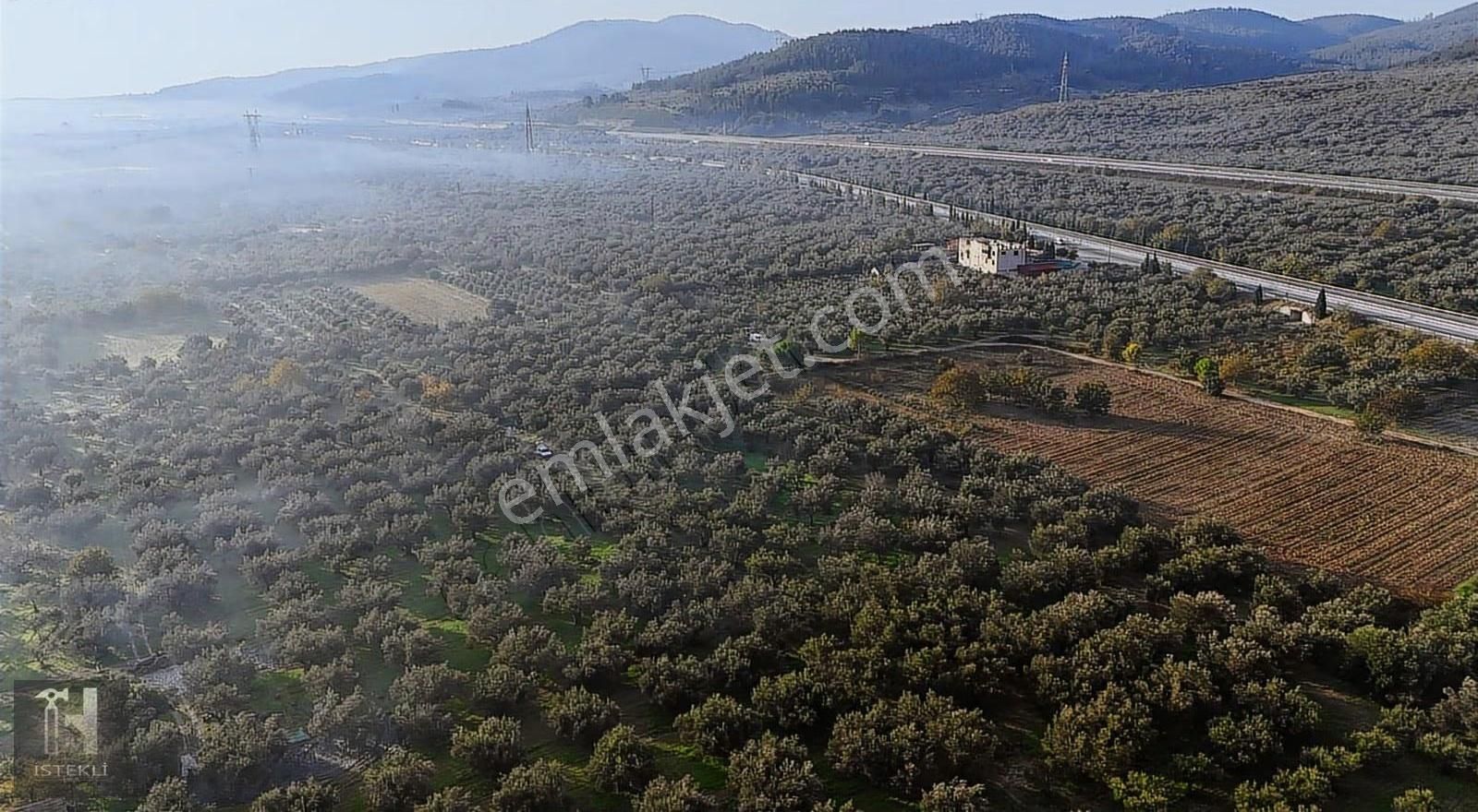 İstekli Emlak'tan Bakır Mah Ana Yola Cephe Zeytinlik - Görsel 20
