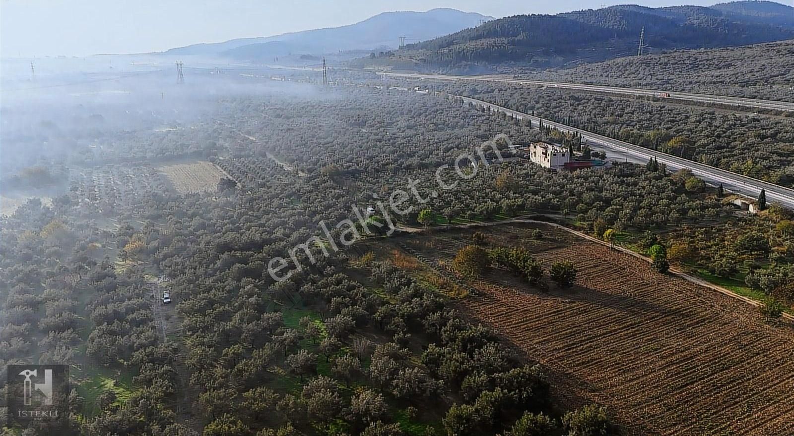 İstekli Emlak'tan Bakır Mah Ana Yola Cephe Zeytinlik - Görsel 9