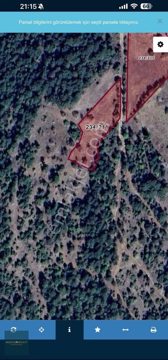Kocakovacık Yayla Da 2.754 M2 Resmi Yolu Olan Tarla - Görsel 4