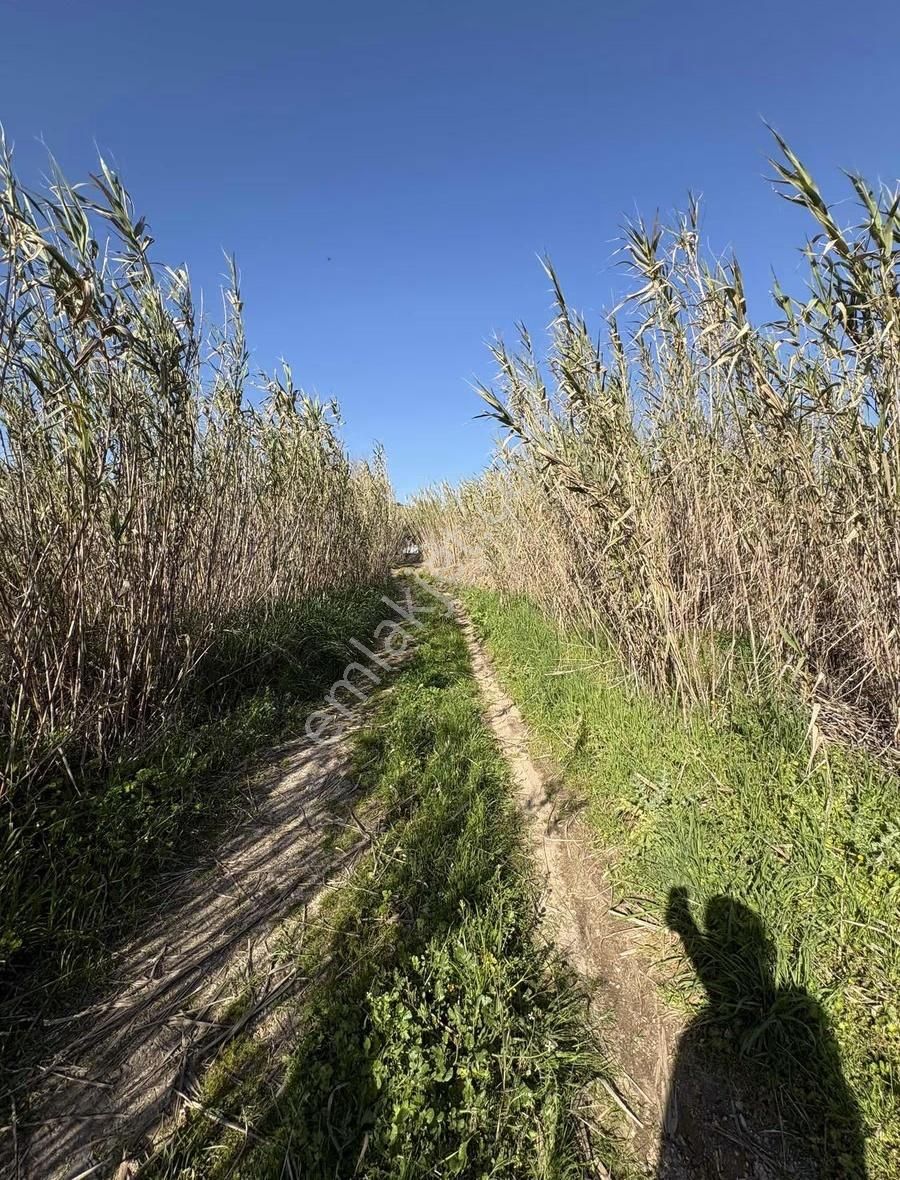 Sultanhisar Atça Mah.satılık 8.623 M2 Bahçe - Görsel 12