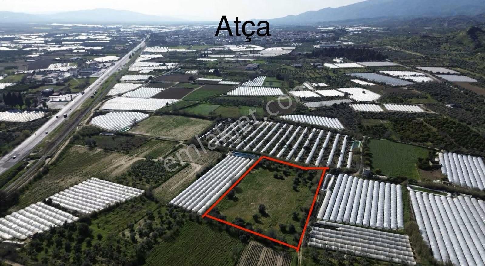 Sultanhisar Atça Mah.satılık 8.623 M2 Bahçe