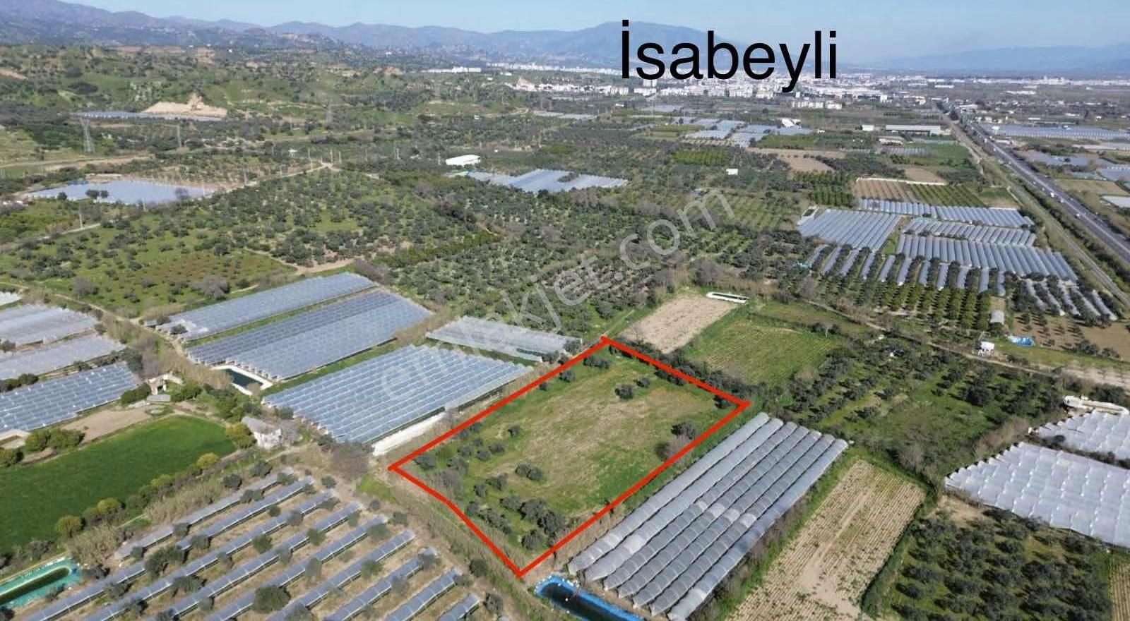 Sultanhisar Atça Mah.satılık 8.623 M2 Bahçe - Görsel 10