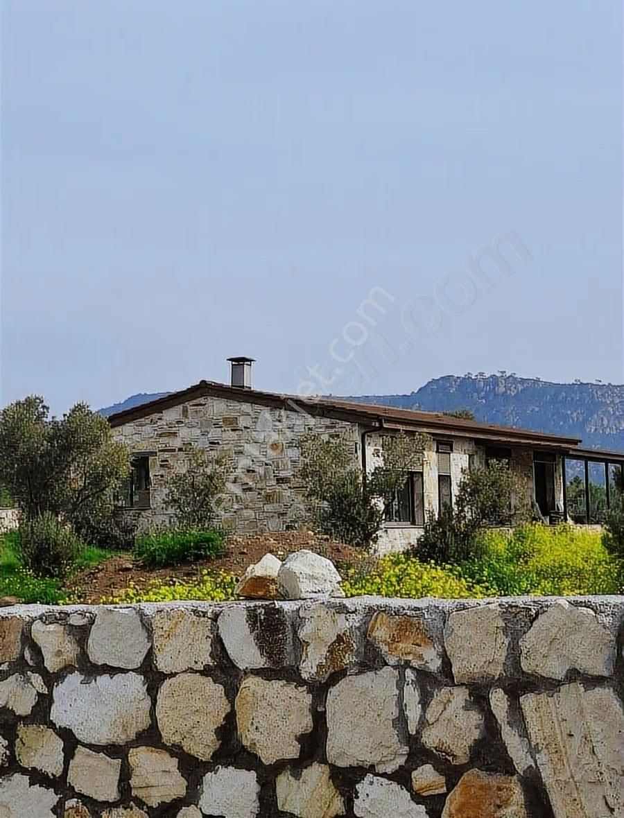 Foça Koca Mehmetler Köyünde 749 M2 Zeytinlik Acil Satılıktır - Görsel 25