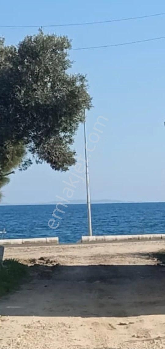 Bilge Emlak'tan Şarköy Mürefte'de Denize Sıfır Yalı Daire - Görsel 30