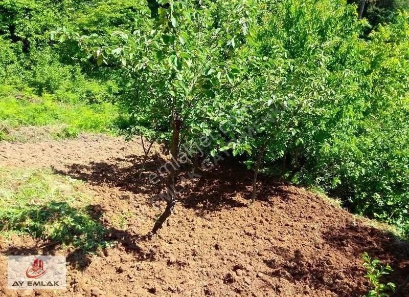 Ay Emlak'tan Bursa Osmangazi Doğancı Mh. 541 M2 Tarla - Görsel 9