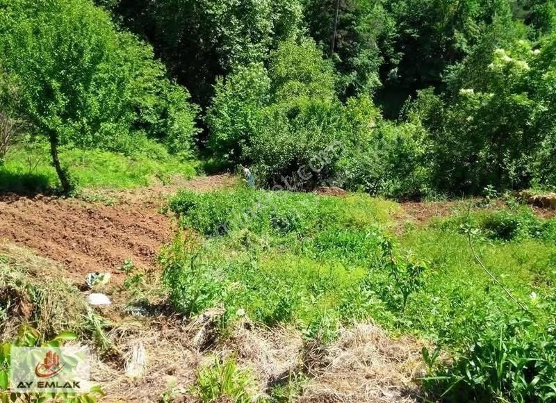 Ay Emlak'tan Bursa Osmangazi Doğancı Mh. 541 M2 Tarla - Görsel 11
