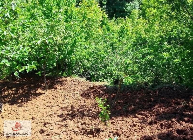 Ay Emlak'tan Bursa Osmangazi Doğancı Mh. 541 M2 Tarla - Görsel 4