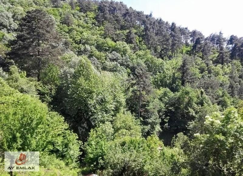 Ay Emlak'tan Bursa Osmangazi Doğancı Mh. 541 M2 Tarla - Görsel 5