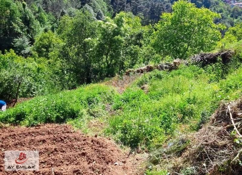 Ay Emlak'tan Bursa Osmangazi Doğancı Mh. 541 M2 Tarla - Görsel 3