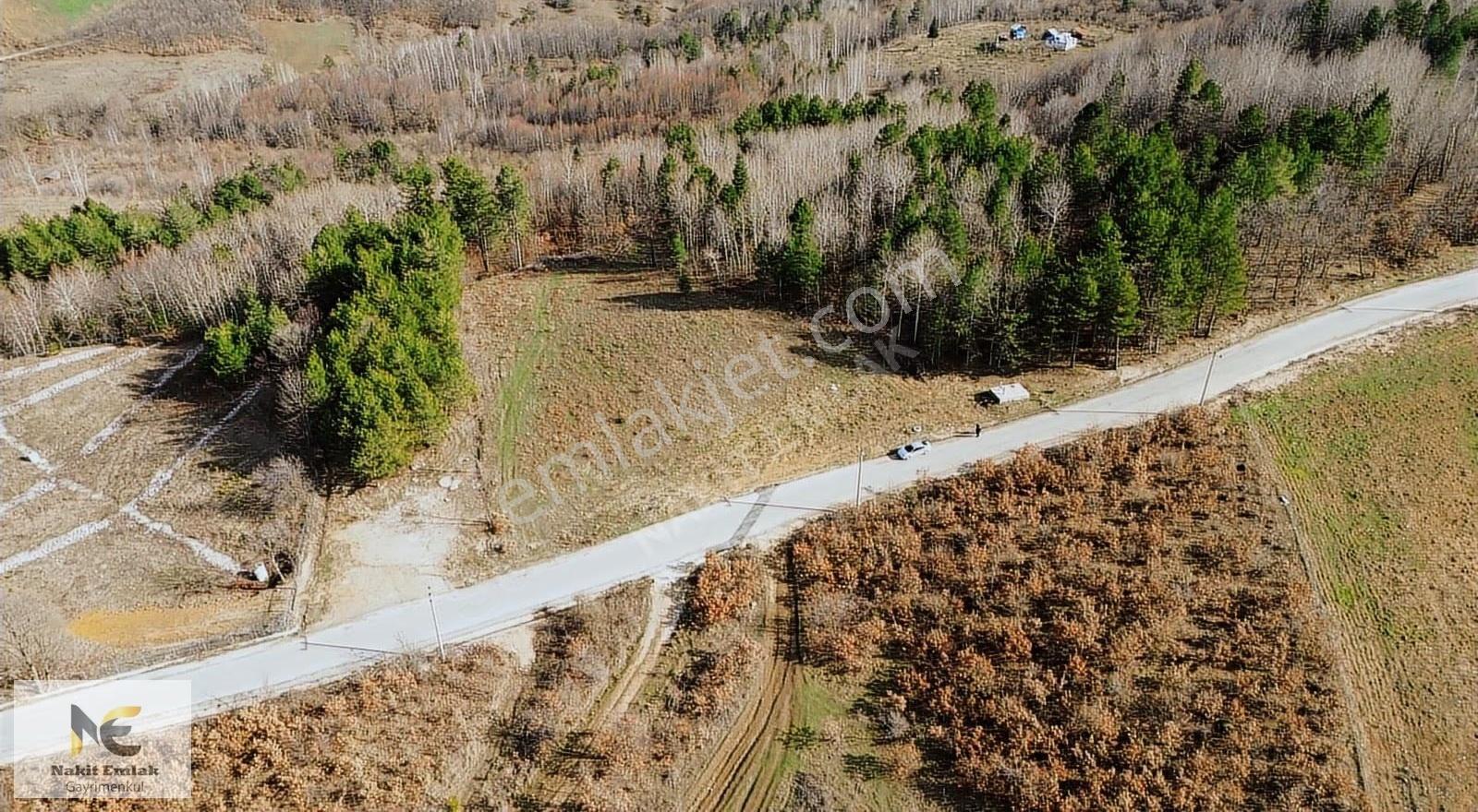 Projesi Hazır 4592m2 Asfalt'a Cephe Harika Konumda Elektrik+su - Görsel 5