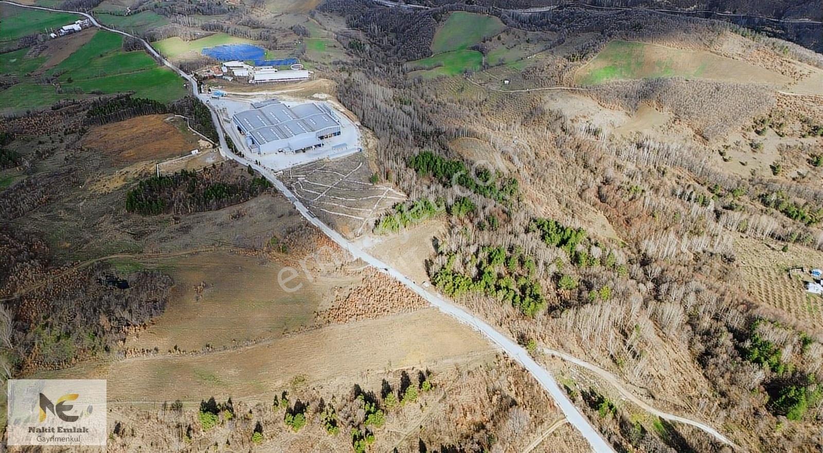 Projesi Hazır 4592m2 Asfalt'a Cephe Harika Konumda Elektrik+su - Görsel 35