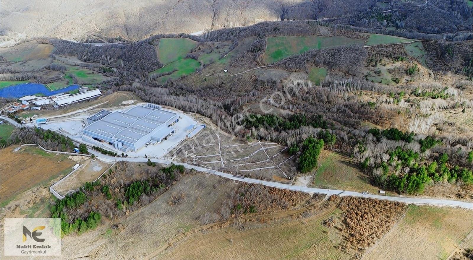 Projesi Hazır 4592m2 Asfalt'a Cephe Harika Konumda Elektrik+su - Görsel 20