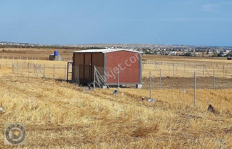 Marmaraereğlisi Çeşmeli Mahallesinde 500 Metre Arsa 500 Bin Tl - Görsel 5