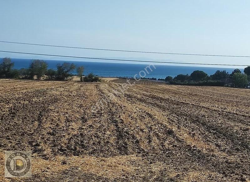 Marmaraereğlisi Çeşmeli Mahallesinde 500 Metre Arsa 500 Bin Tl - Görsel 24