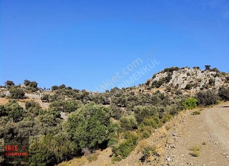 Eras Gayrimenkulden Deniz Ve Göl Manzaralı 5.170 M2 Arazi - Görsel 9