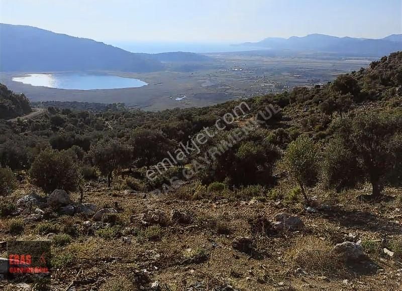 Eras Gayrimenkulden Deniz Ve Göl Manzaralı 5.170 M2 Arazi - Görsel 15