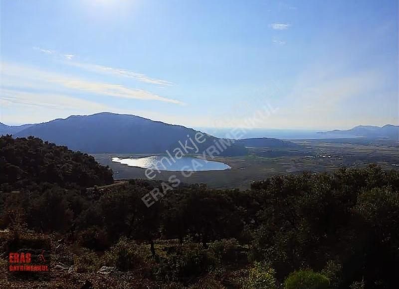 Eras Gayrimenkulden Deniz Ve Göl Manzaralı 5.170 M2 Arazi - Görsel 12