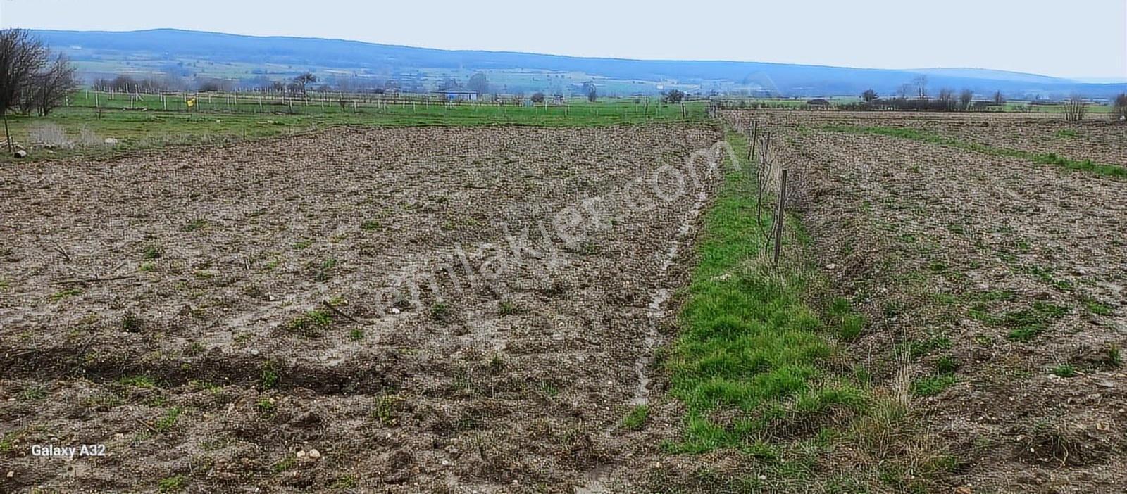 Vize Sergende Köy Dibi Fırsat Yatırımlık Arazi - Görsel 14