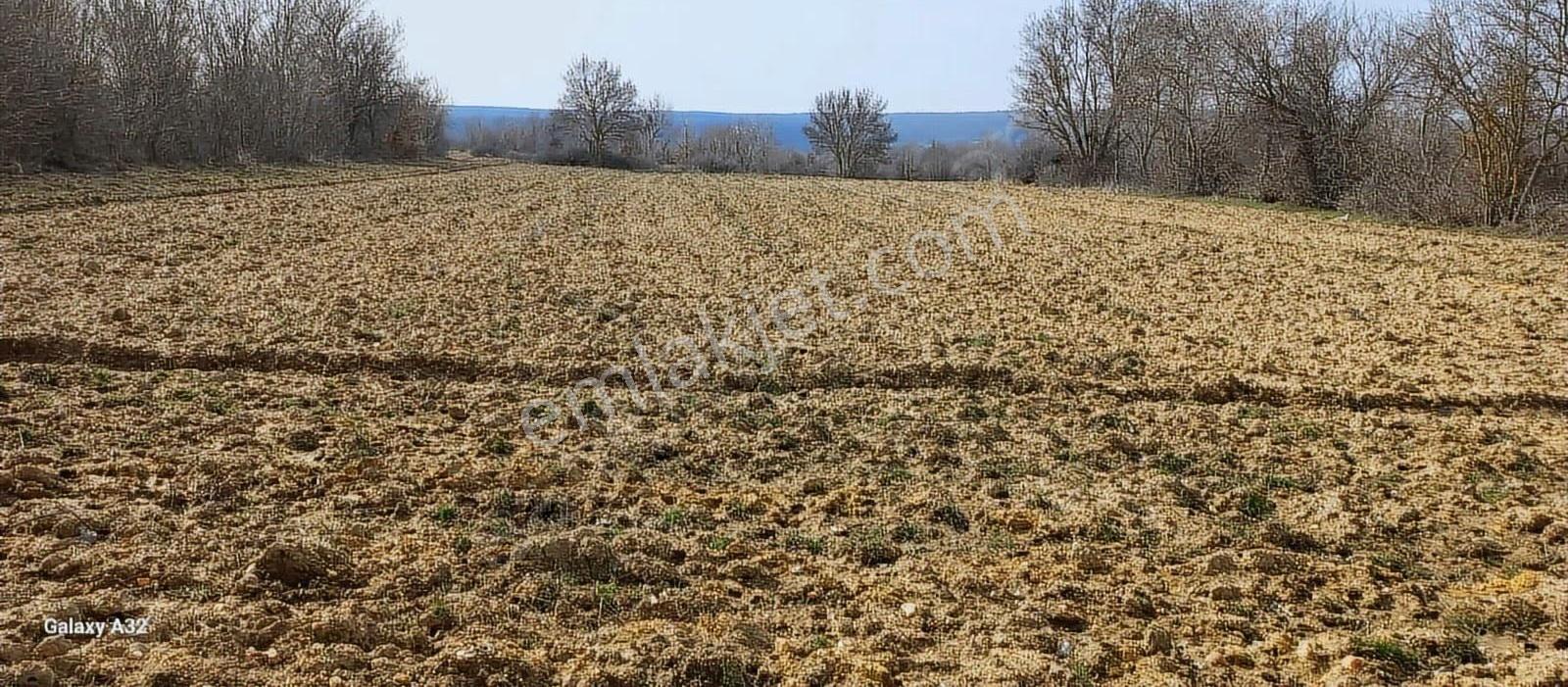 Vize Sergende Yenice Yolu Yatırımlık Arazi - Görsel 4