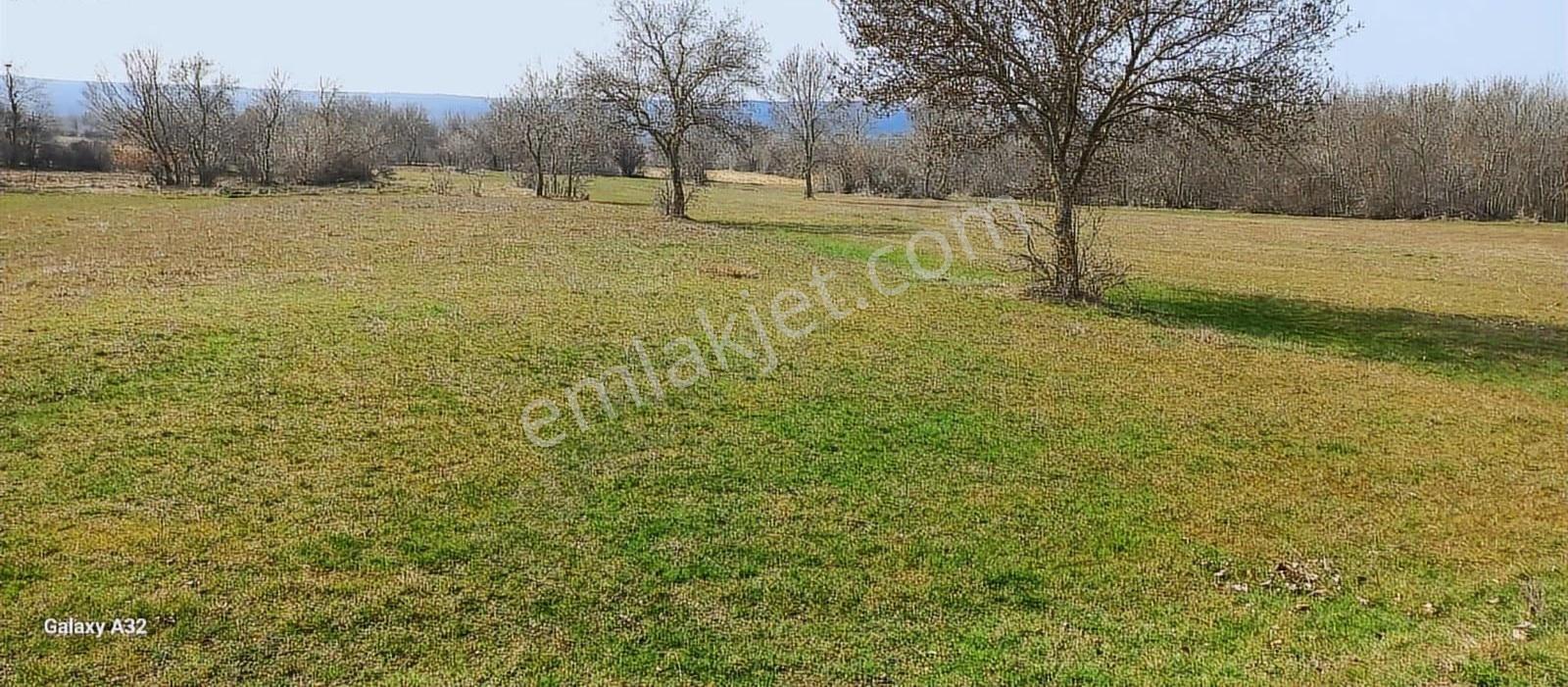 Vize Sergende Yenice Yolu Yatırımlık Arazi - Görsel 23