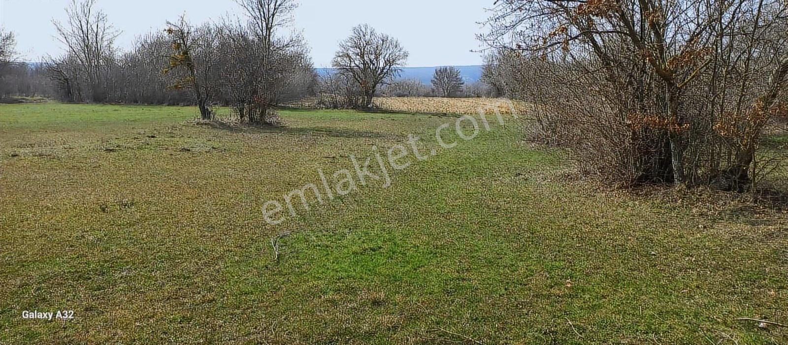 Vize Sergende Yenice Yolu Yatırımlık Arazi - Görsel 21