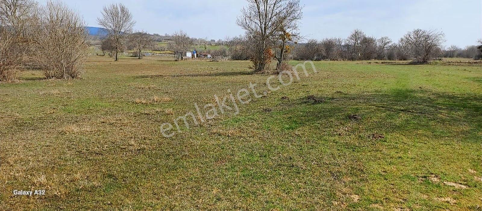 Vize Sergende Yenice Yolu Yatırımlık Arazi - Görsel 9