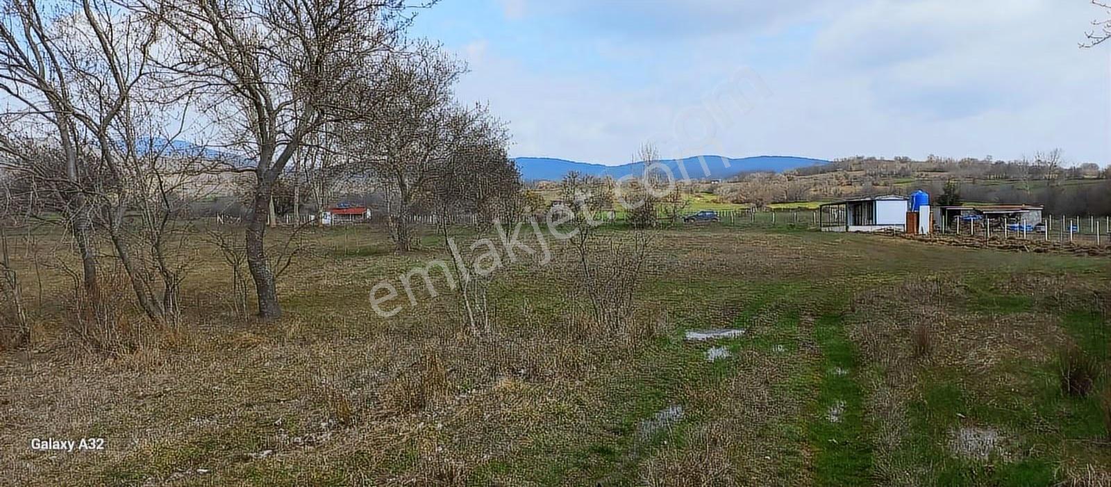 Vize Sergende Yenice Yolu Yatırımlık Arazi - Görsel 6