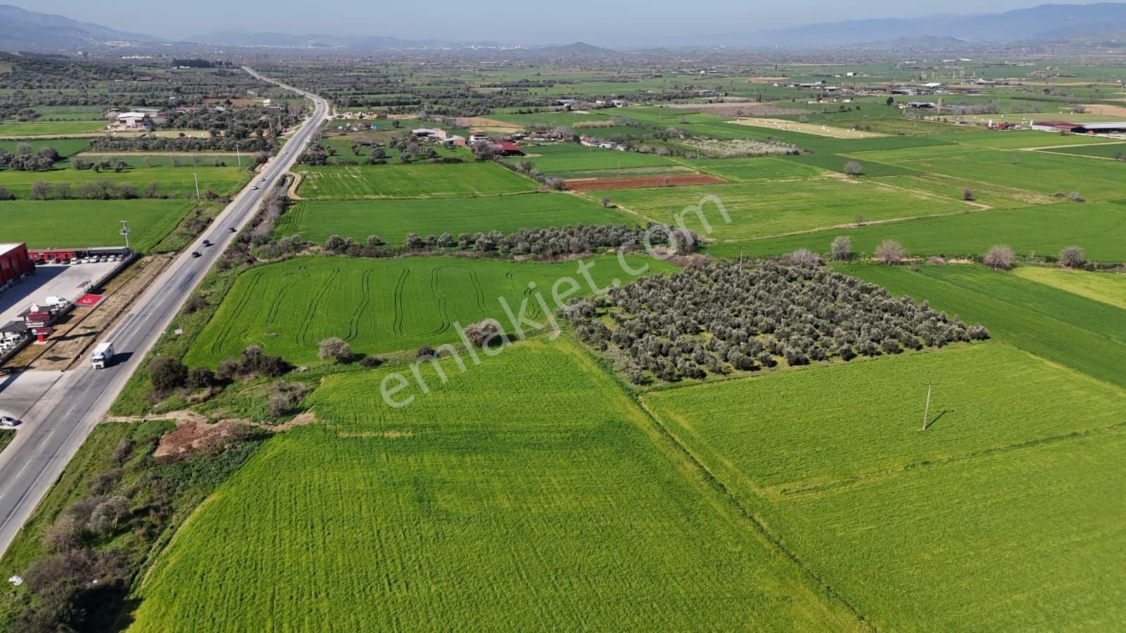 Kaçmaz Emlaktan Gökçende Anayol Kenarı Zeytinlik - Görsel 14