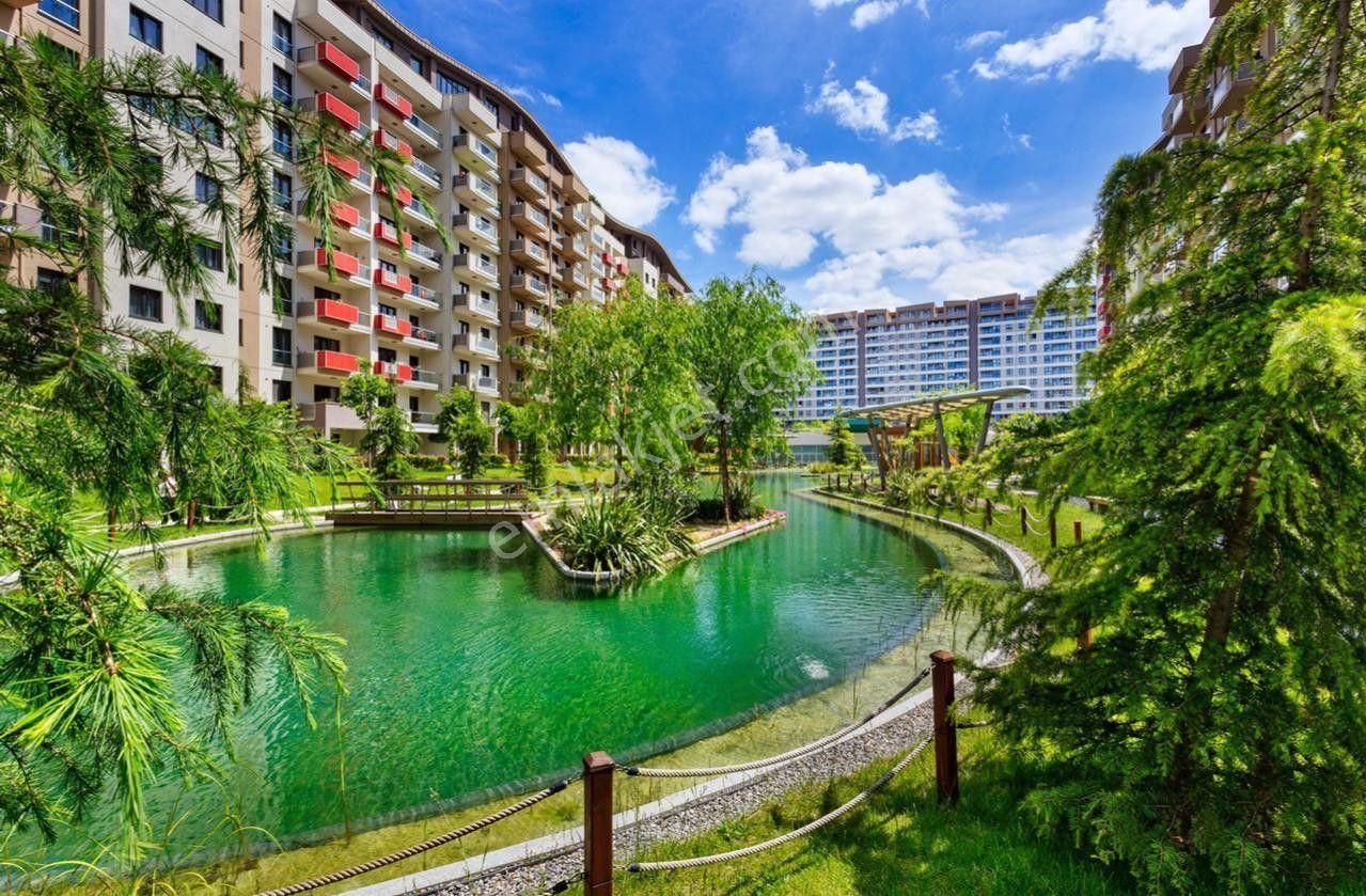 Sinpaş Liva Turkuaz 1+1 70m2 Dekorlu Kiralık - Görsel 17