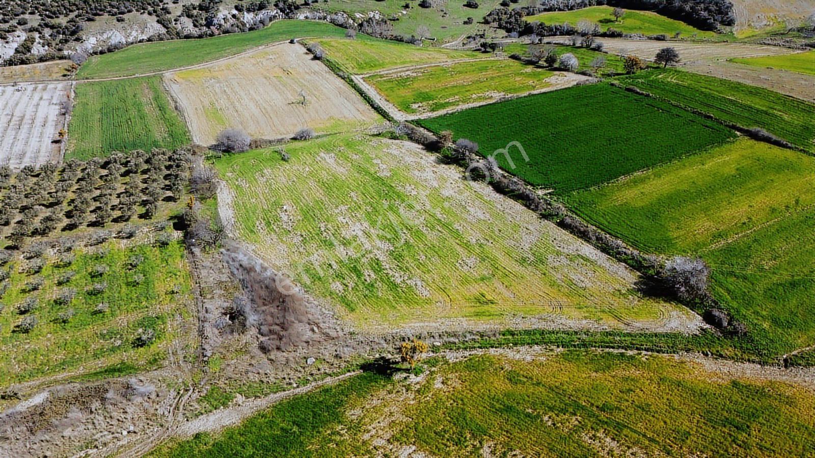 Çanakkale Merkezde Boğaz Manzaralı Yolu Suyu Olan Satılık Arazi - Görsel 18