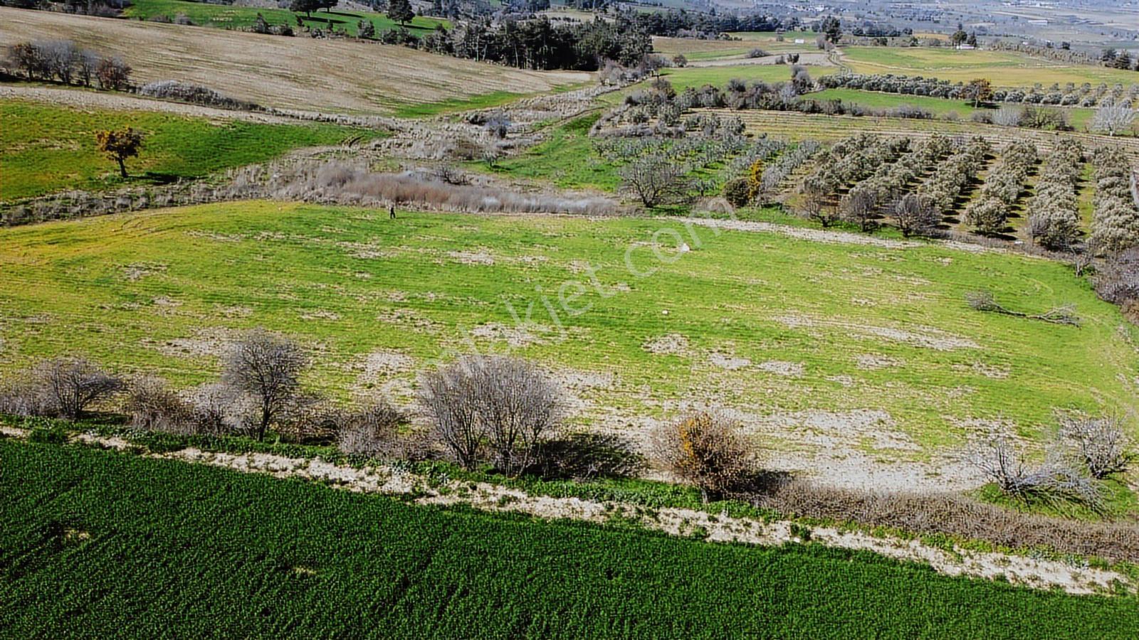 Çanakkale Merkezde Boğaz Manzaralı Yolu Suyu Olan Satılık Arazi - Görsel 11