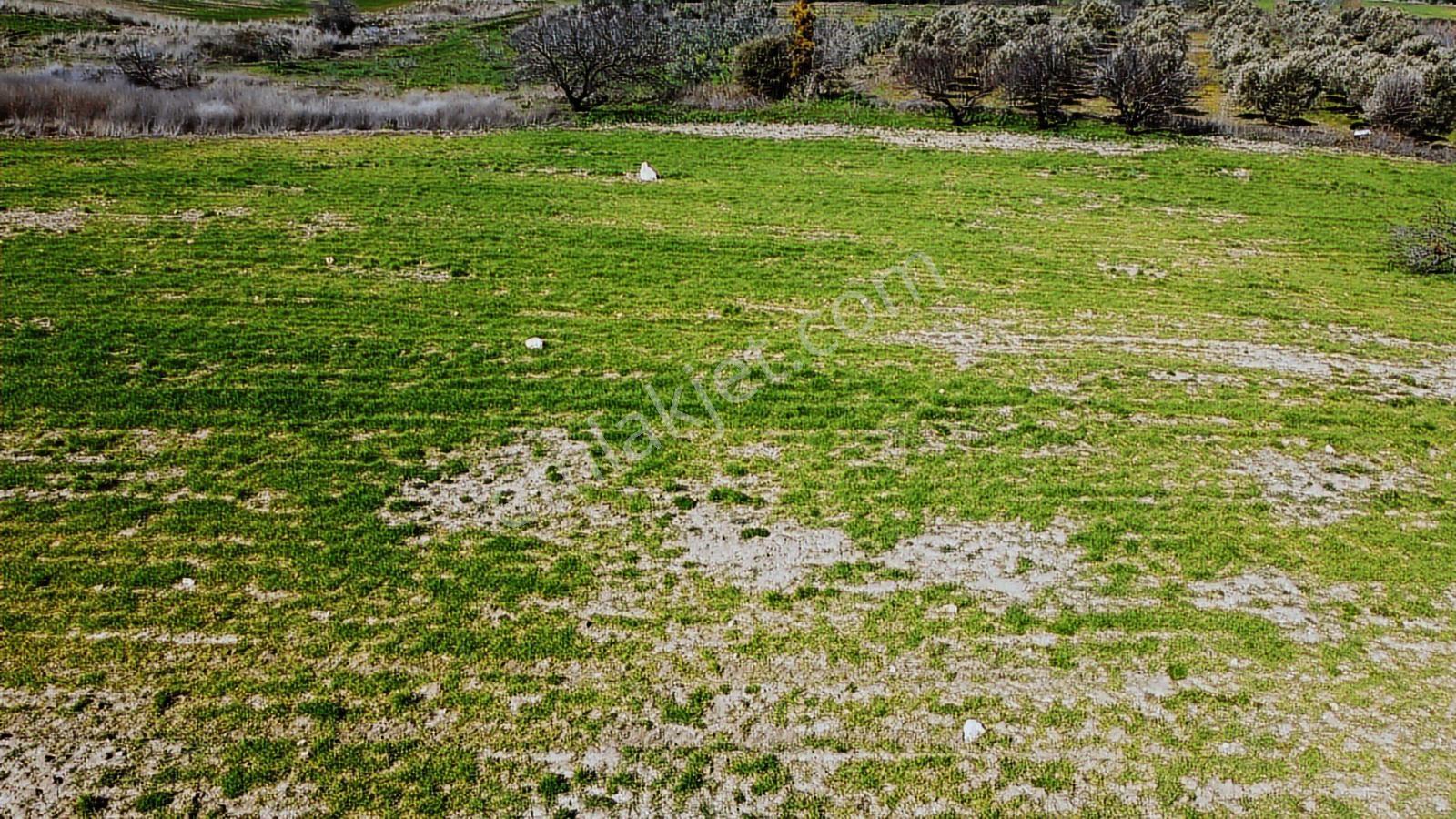 Çanakkale Merkezde Boğaz Manzaralı Yolu Suyu Olan Satılık Arazi