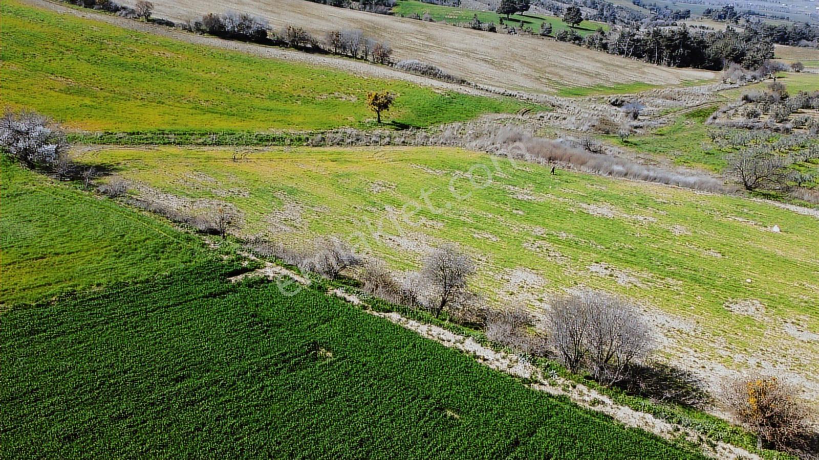 Çanakkale Merkezde Boğaz Manzaralı Yolu Suyu Olan Satılık Arazi - Görsel 2