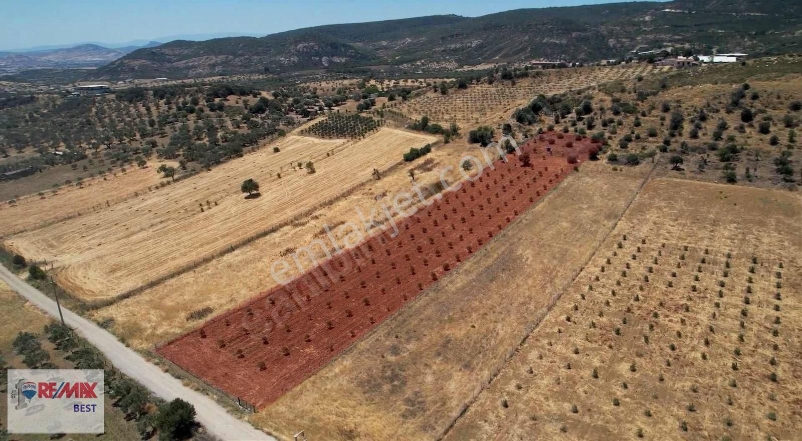 11 Foça Yeniköyde Doğayla İç İçe, Yatırımlık Tek Tapu Arazi! - Görsel 8