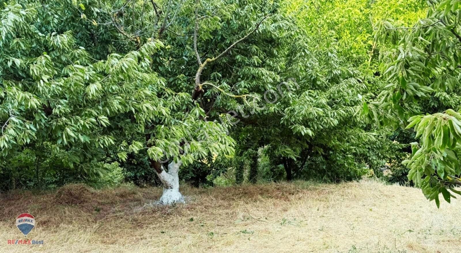 23 Ayrancılara Yakın Satılık 2097 M² Taş Evlı Bhaçe