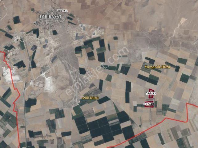 Eğribayat Ta Mustakil 100.000 Metre Kare Satılık Tarla