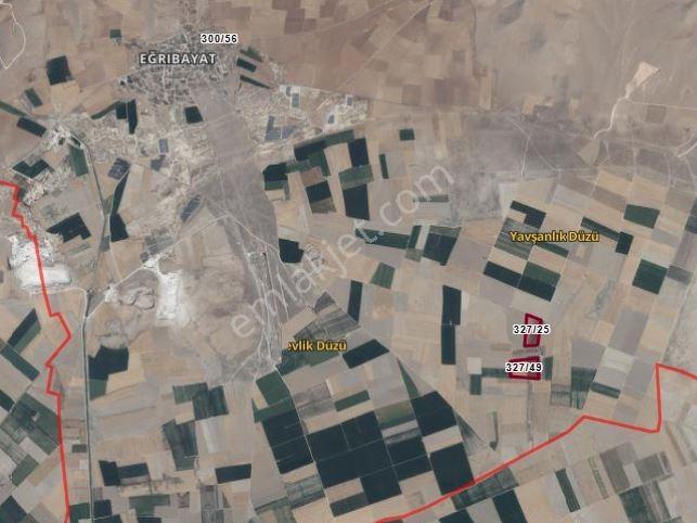 Eğribayat Ta Mustakil 100.000 Metre Kare Satılık Tarla