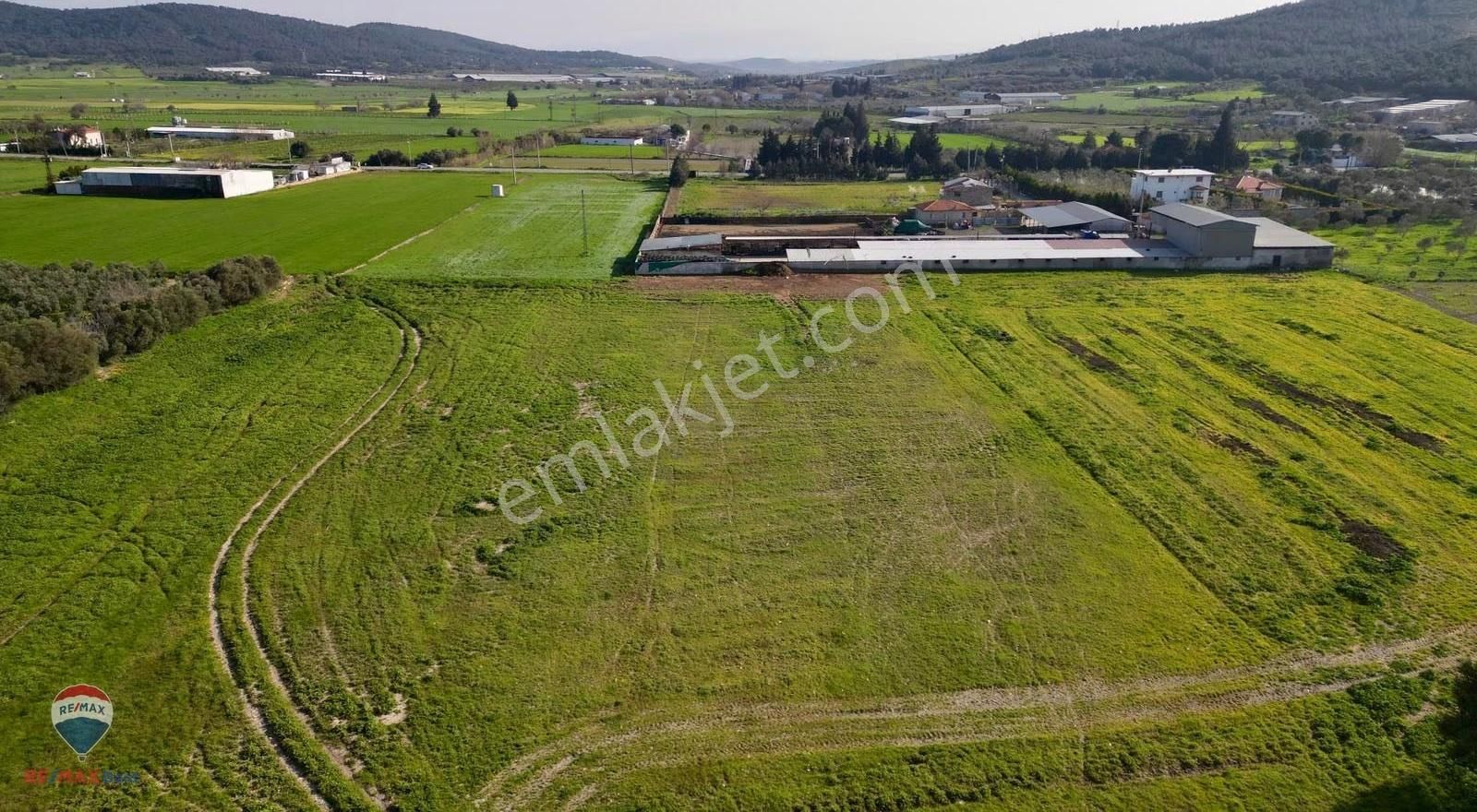 11 Foça Ilıpınarda 11814 M2 Yatırımlık Verımlı Tarla - Görsel 8