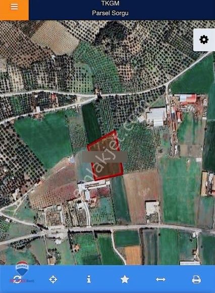 11 Foça Ilıpınarda 11814 M2 Yatırımlık Verımlı Tarla - Görsel 10